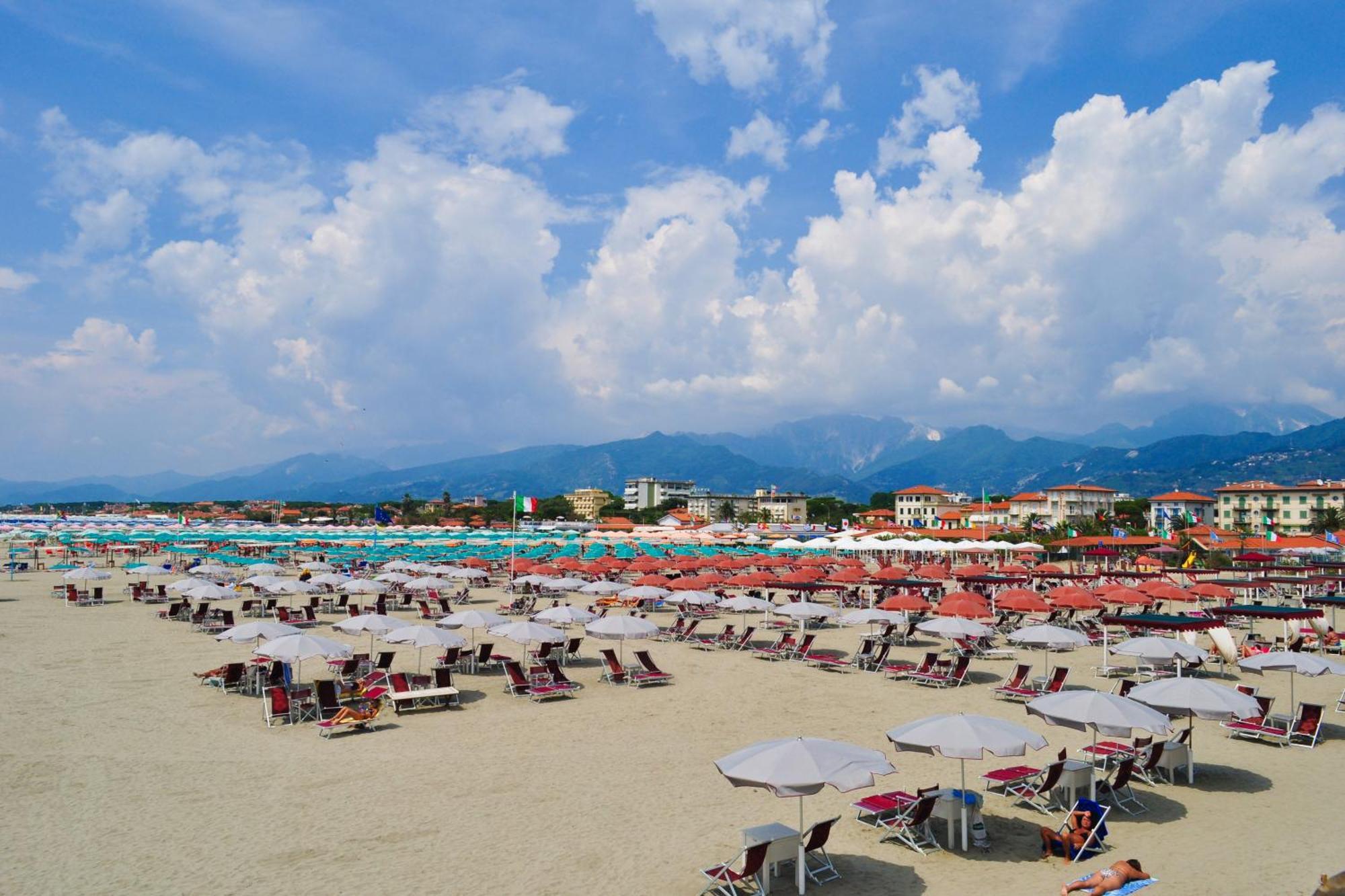 Villa Clara few min from sea Pietrasanta Exteriör bild